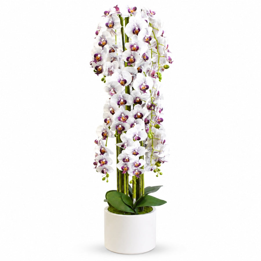 Τεχνητή Ορχιδέα Λευκή - Μωβ 150cm σε Γλάστρα 87555-4 — 1
