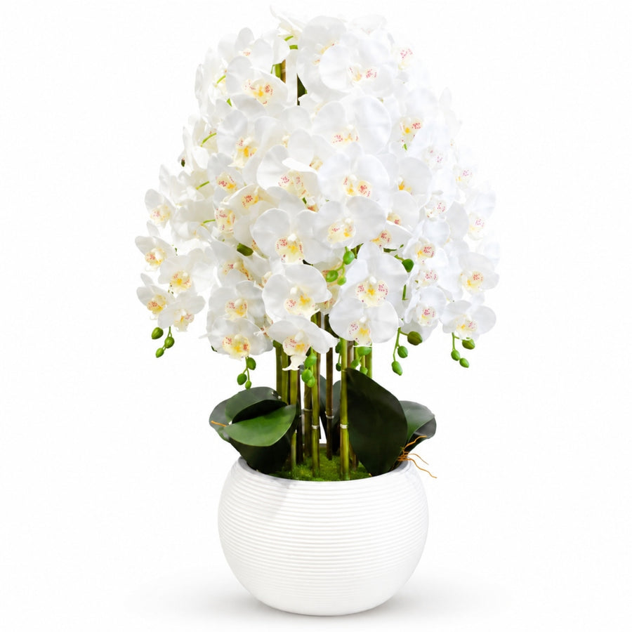 Διακοσμητική Τεχνητή Ορχιδέα 90cm σε Λευκό Κασπώ 87556-2 — 1