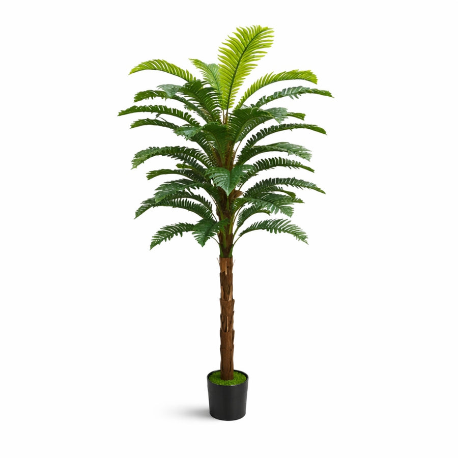 Τεχνητό Φυτό Σάγκο Πάλμ σε Γλάστρα 160cm 86360 — 1