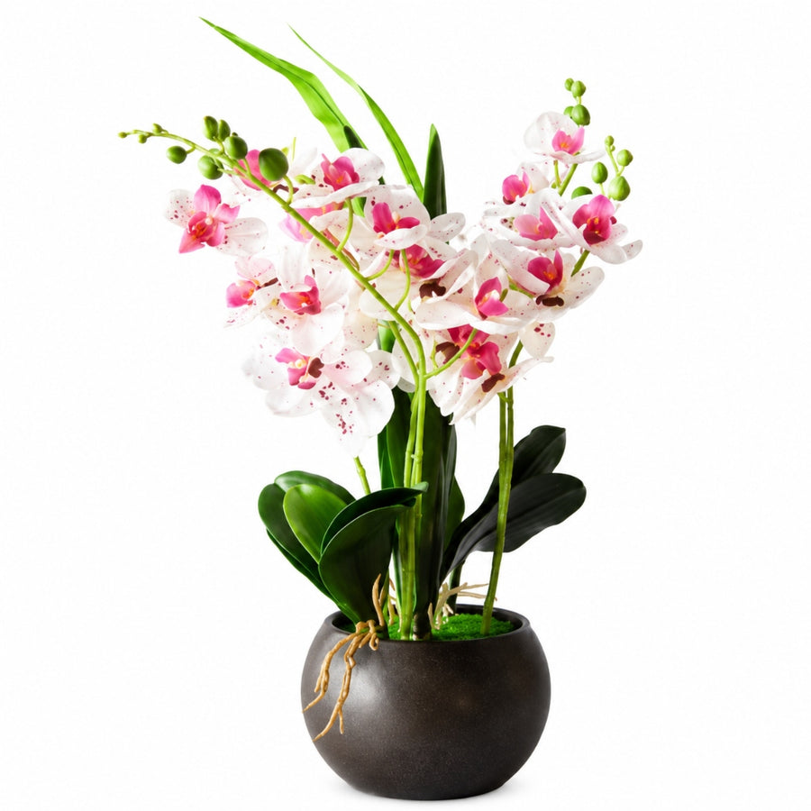 Διακοσμητική Τεχνητή Ορχιδέα 42cm σε Μαύρο Κασπώ 87552-2 — 1